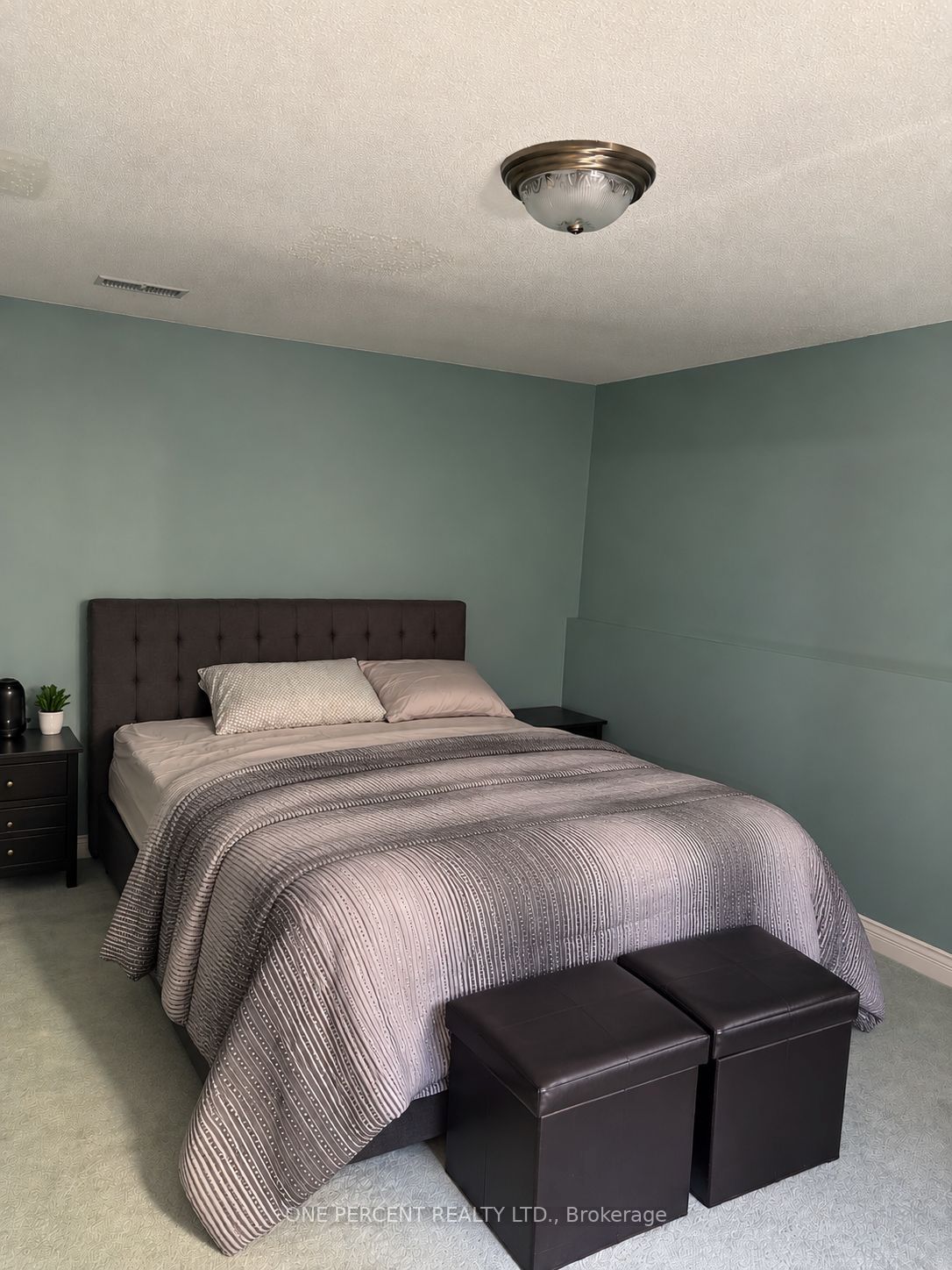221 Orchard Heights Boulevard Bsmt Property Photo 5