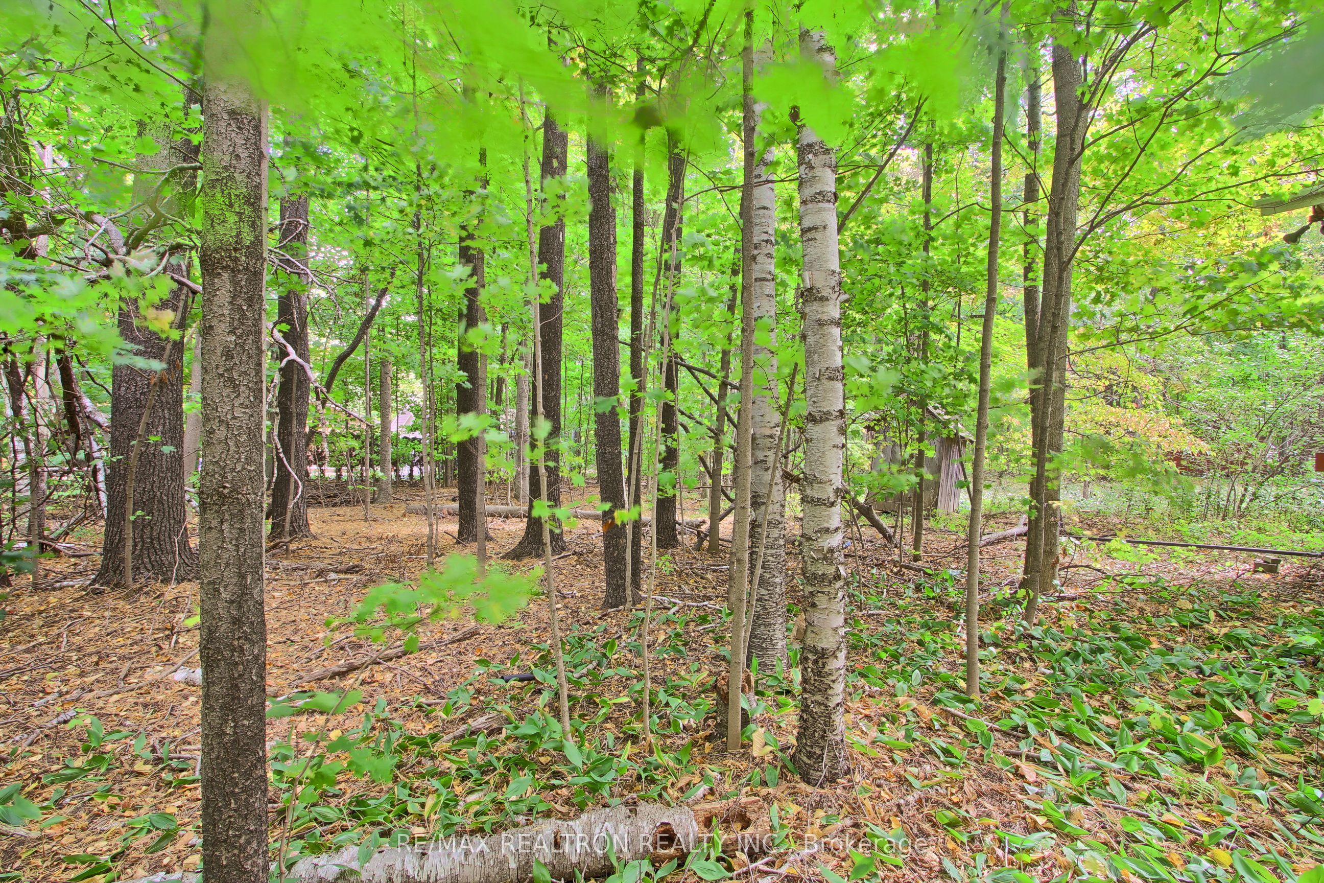 12603 Leslie Street Property Photo 29