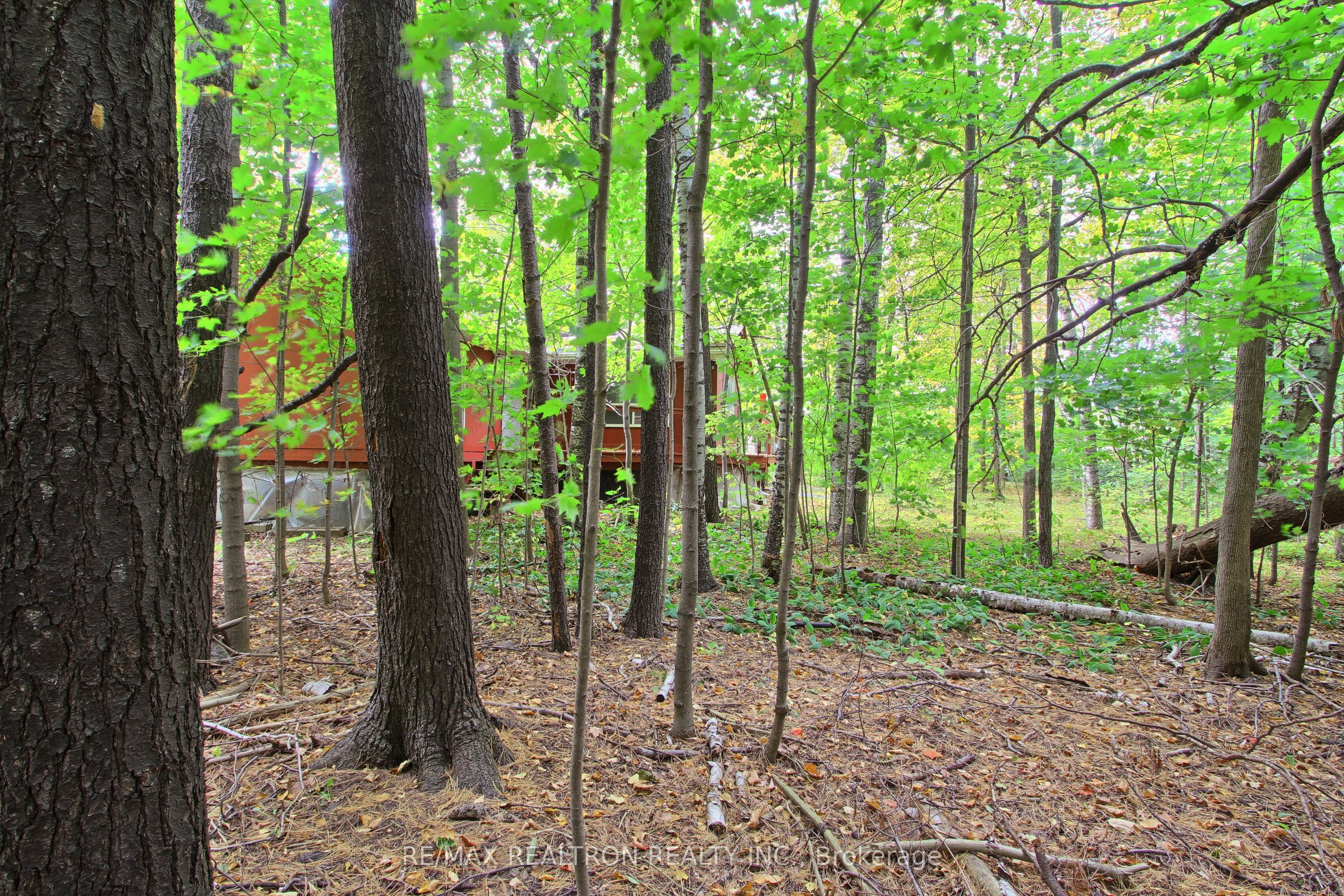 12603 Leslie Street Property Photo 30