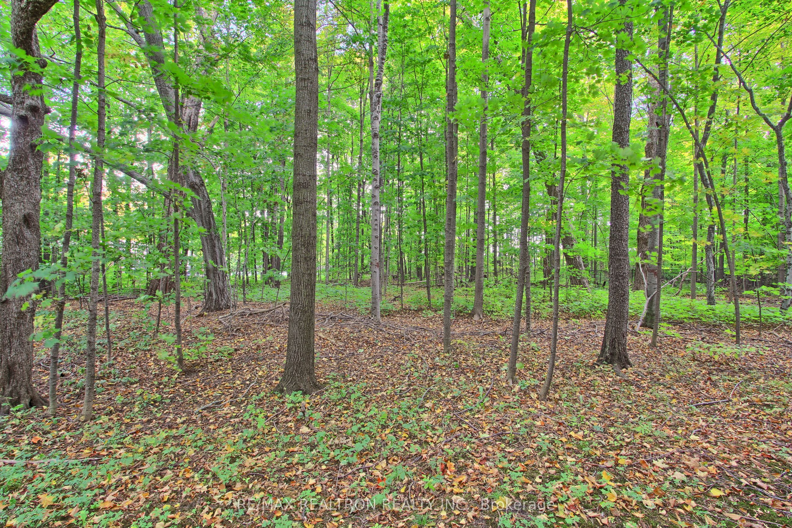 12603 Leslie Street Property Photo 35