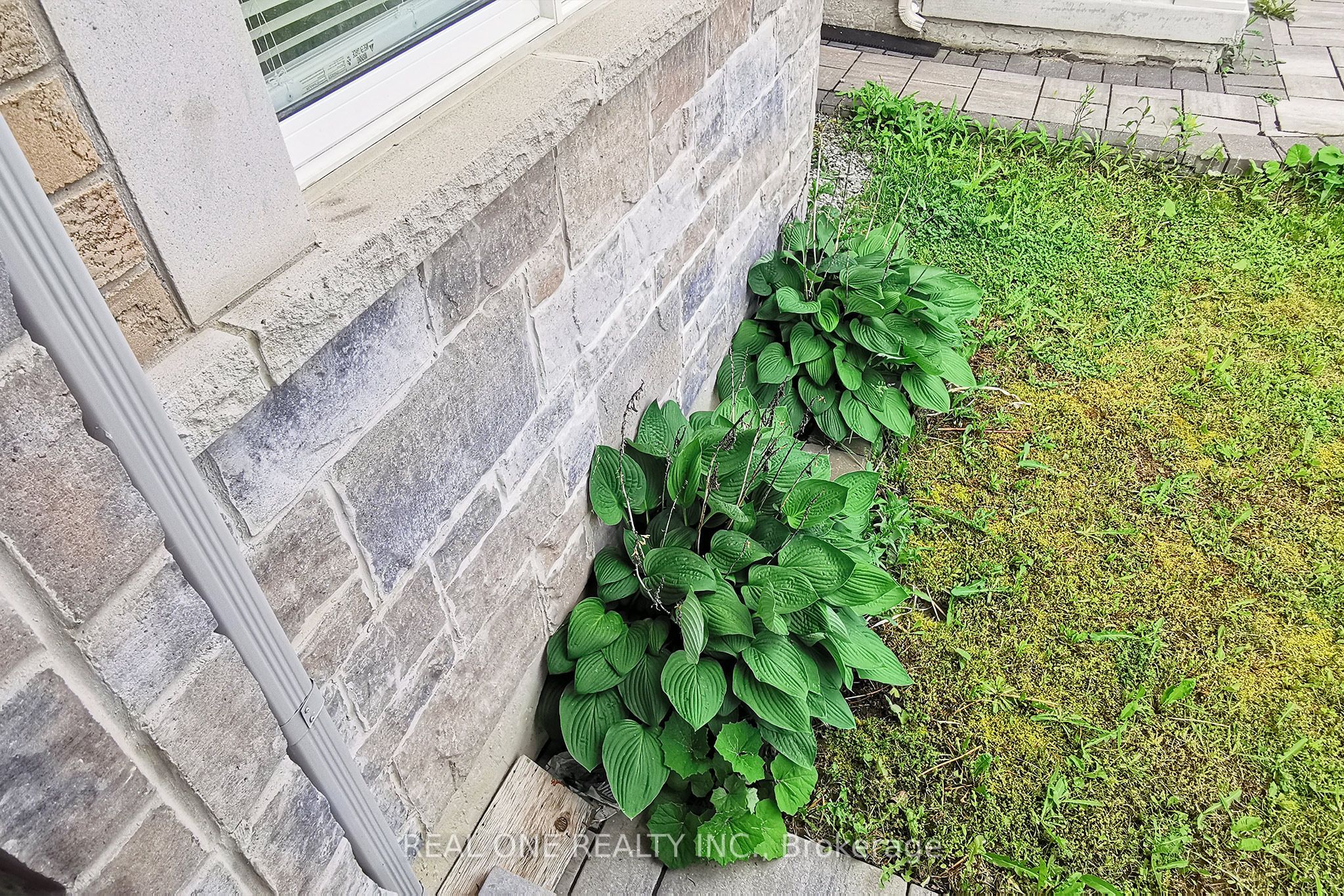 51 Kavanagh Avenue Property Photo 7