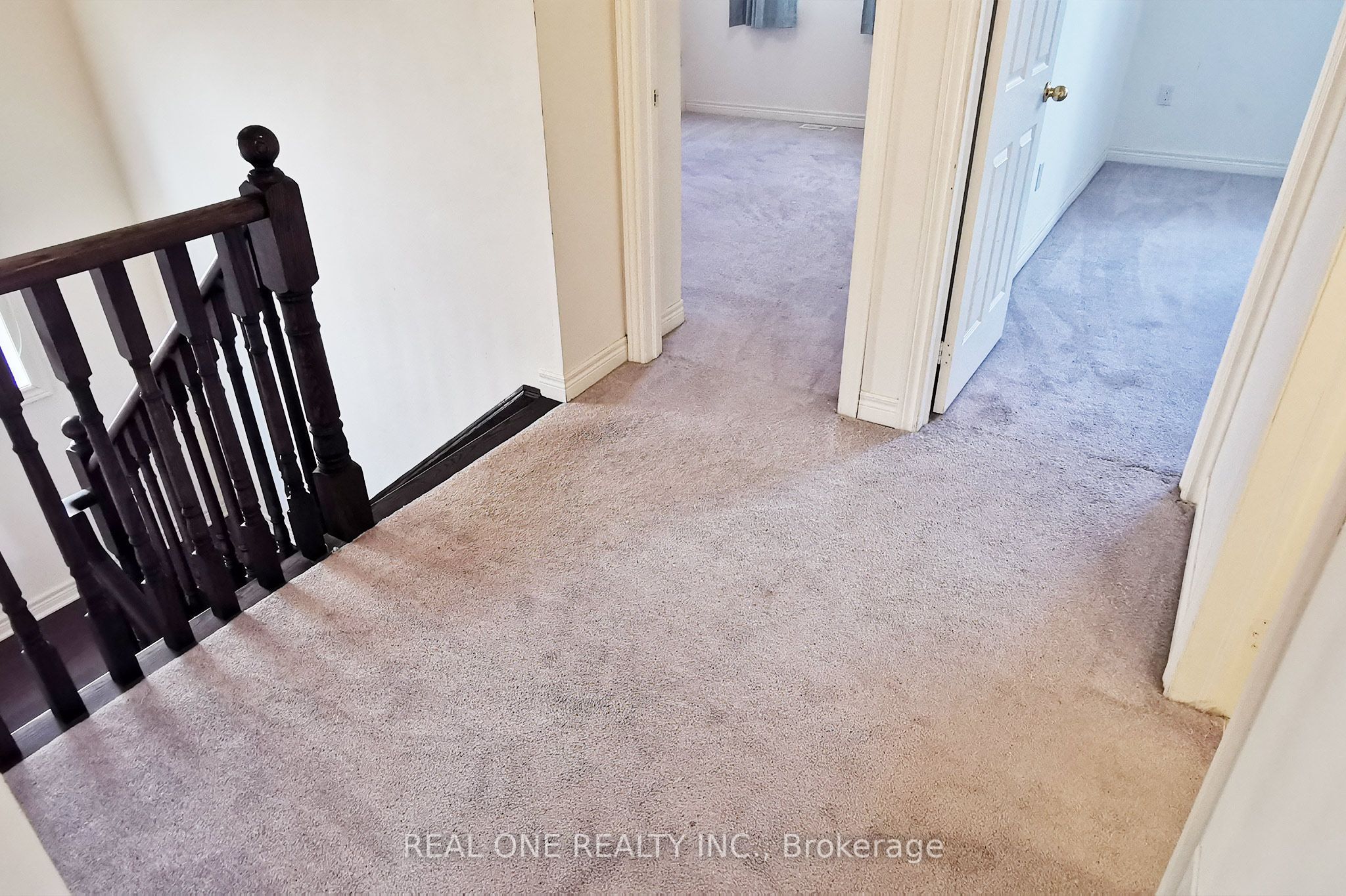 51 Kavanagh Avenue Property Photo 32