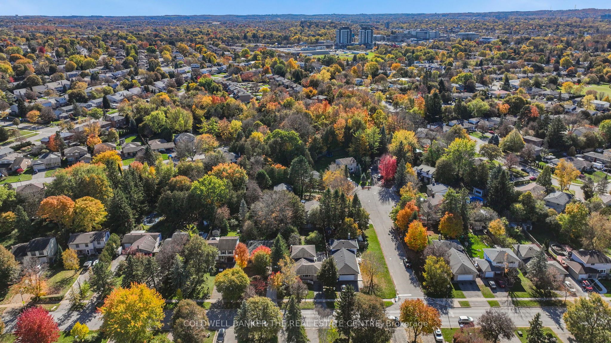 836 Elgin Street Property Photo 26