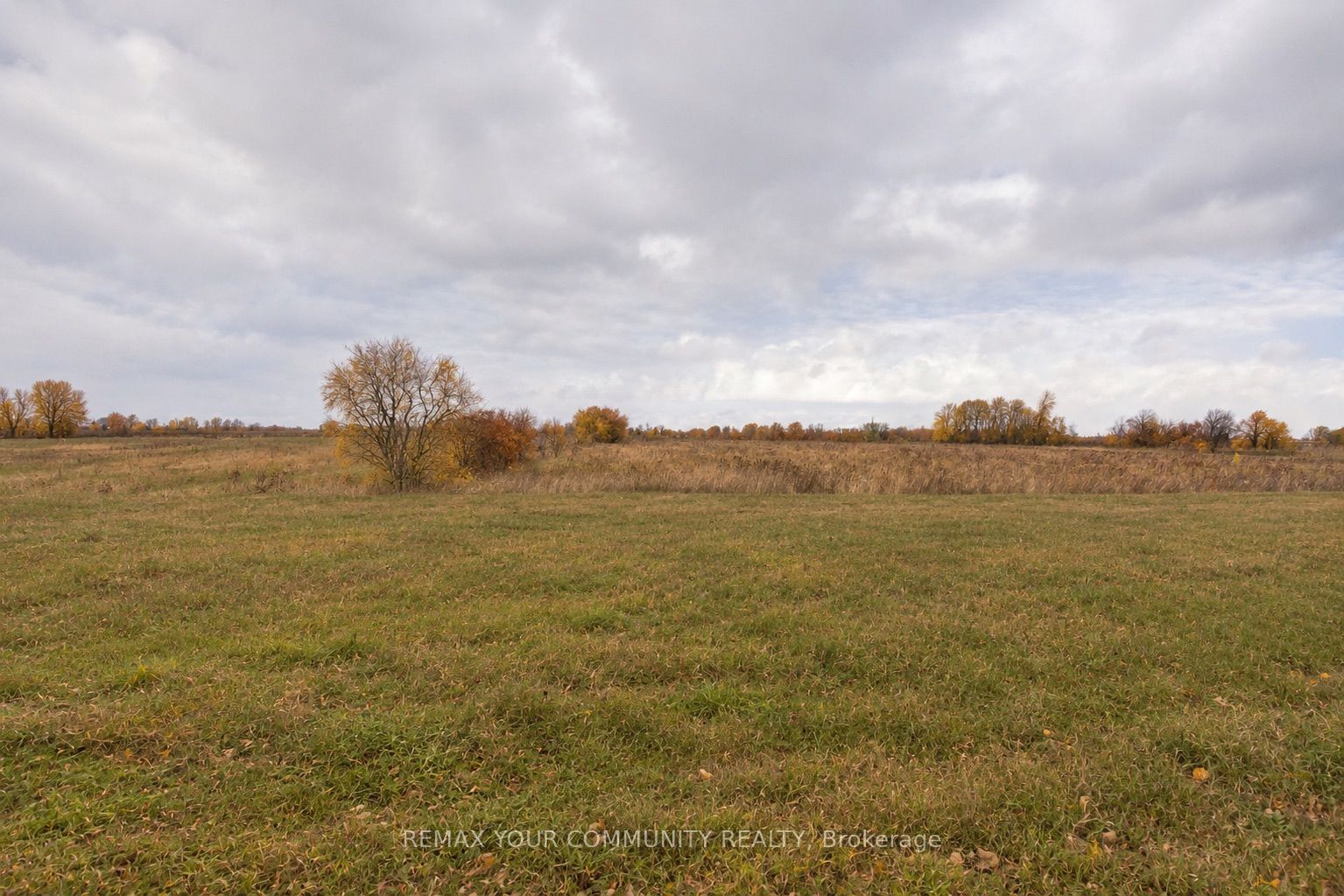 16 Don Hadden Crescent Property Photo 25