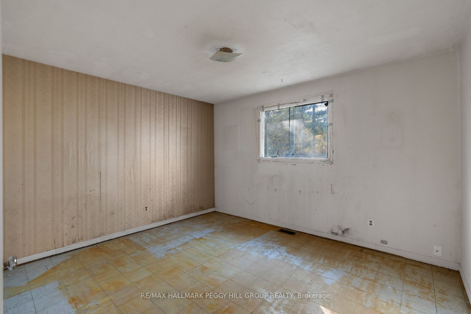 24 Lee Avenue Property Photo 11
