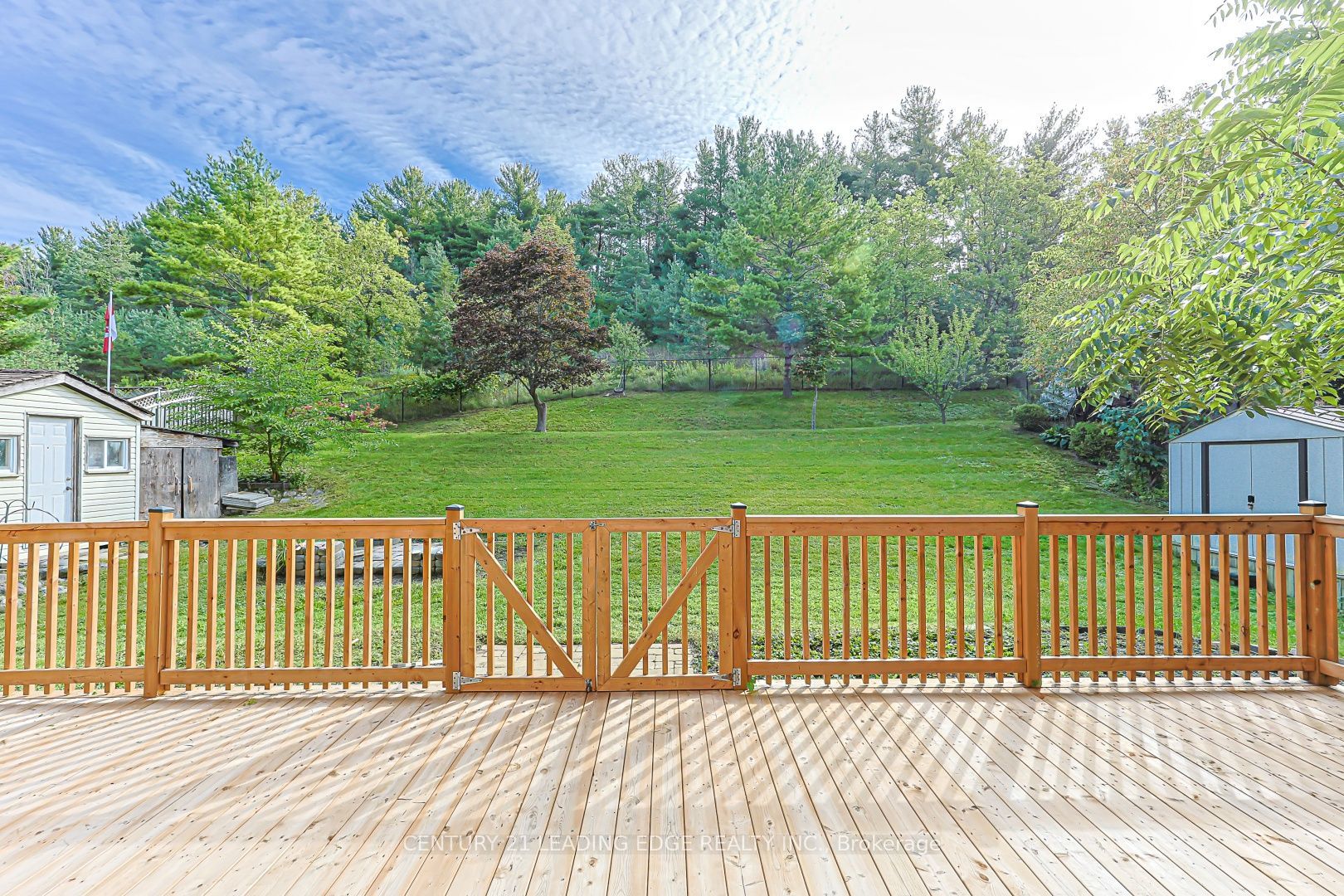 21 Mcquaid Court Property Photo 49