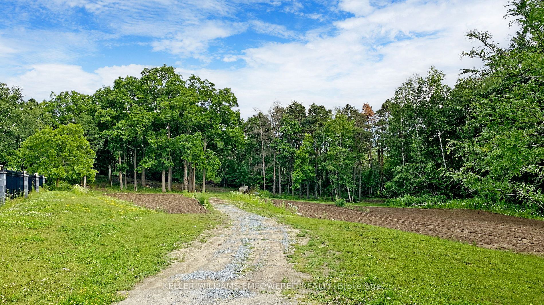 2 Honey Locust Crt Property Photo 14