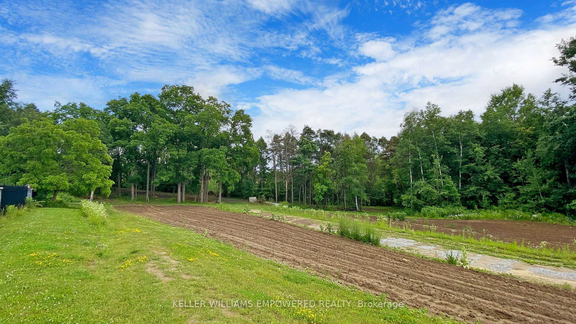 2 Honey Locust Crt Property Photo 16