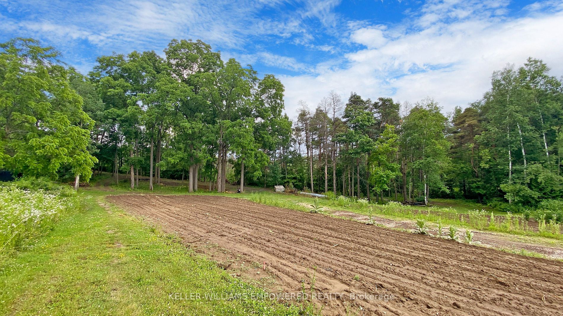 2 Honey Locust Crt Property Photo 17