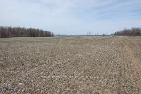 2399 7th Line Property Photo 2