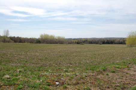 2399 7th Line Property Photo 3