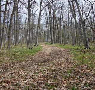 2399 7th Line Property Photo 11