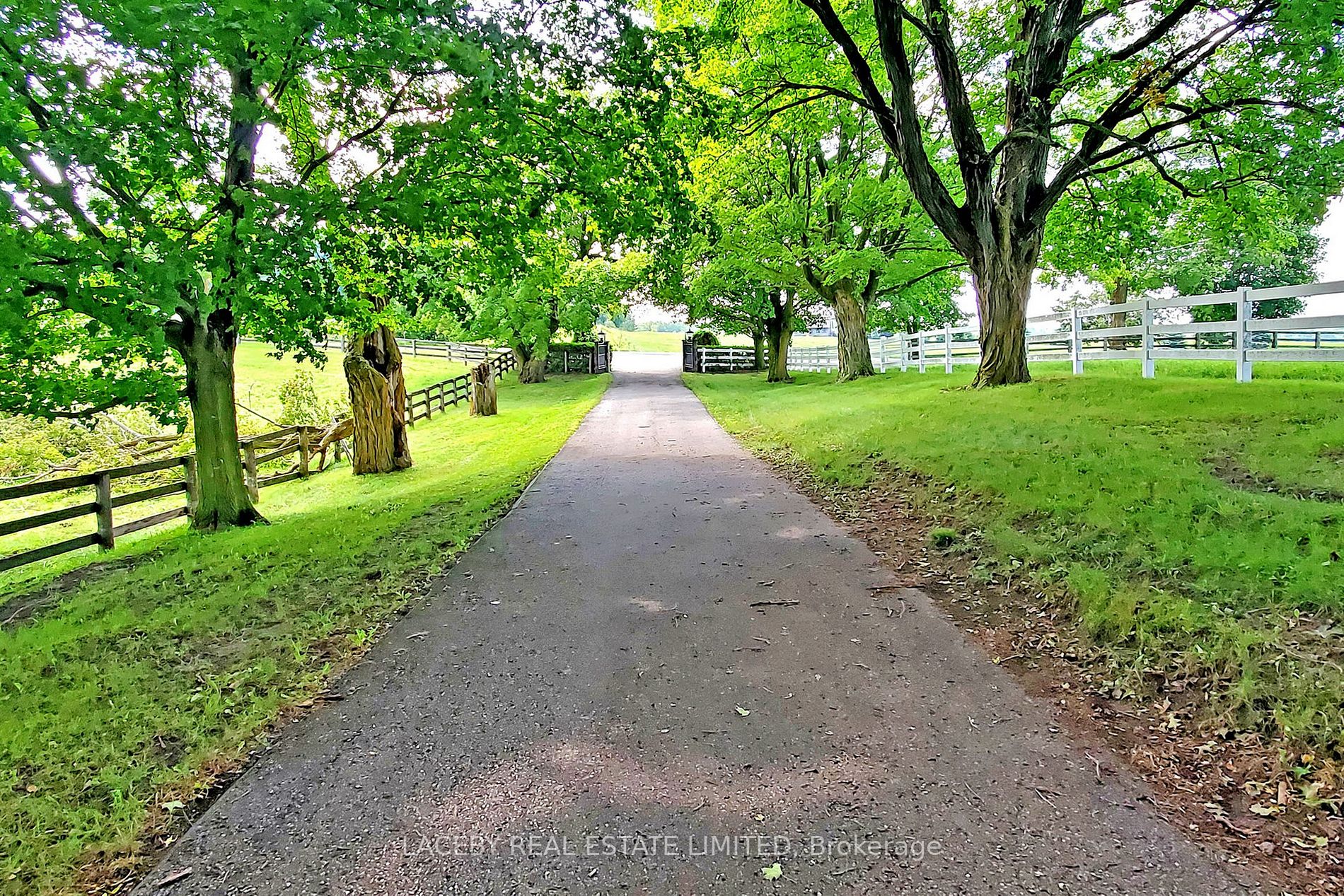 16979 Ninth Line Property Photo 4