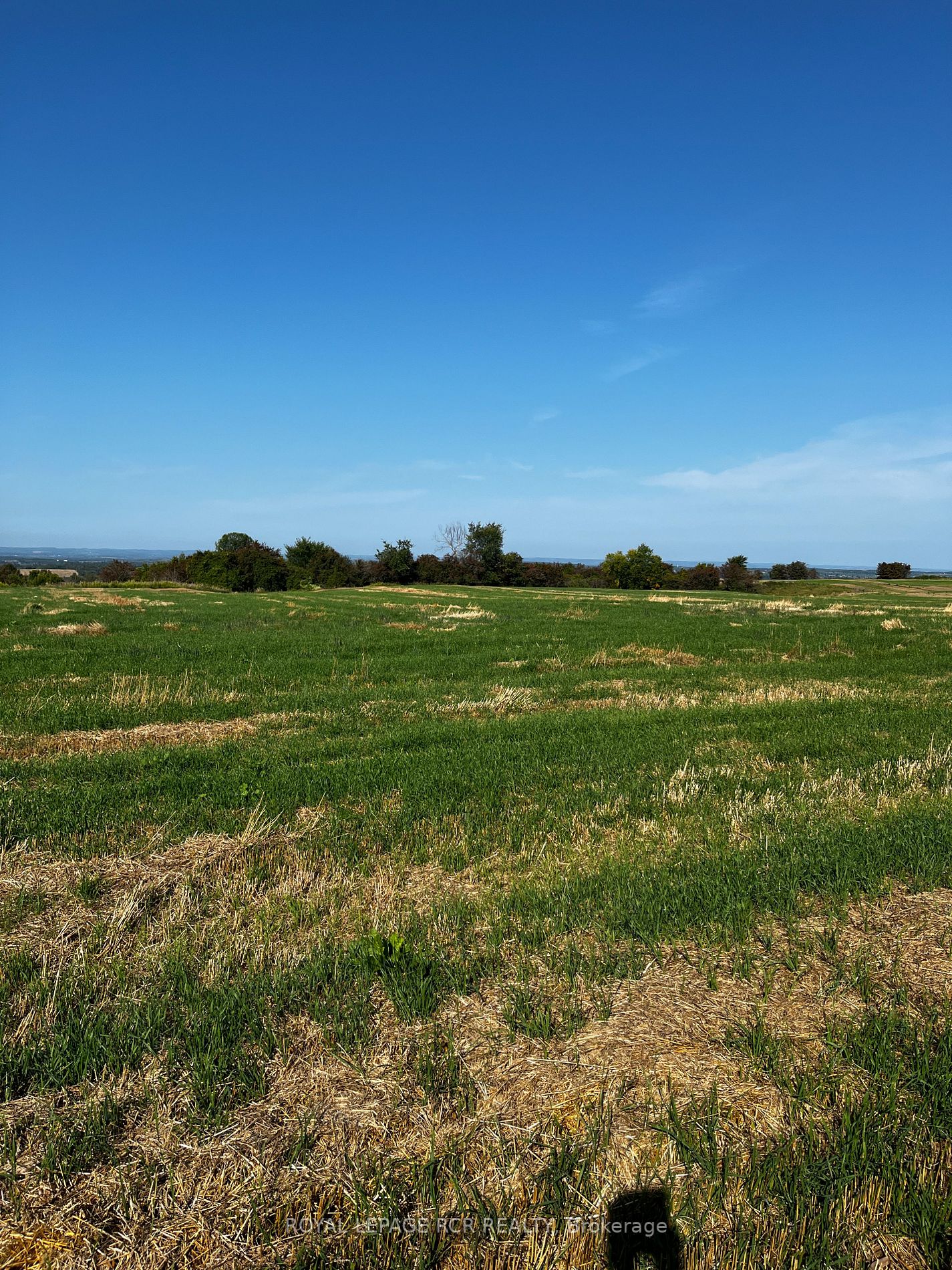 5060 8th Line Property Photo 5