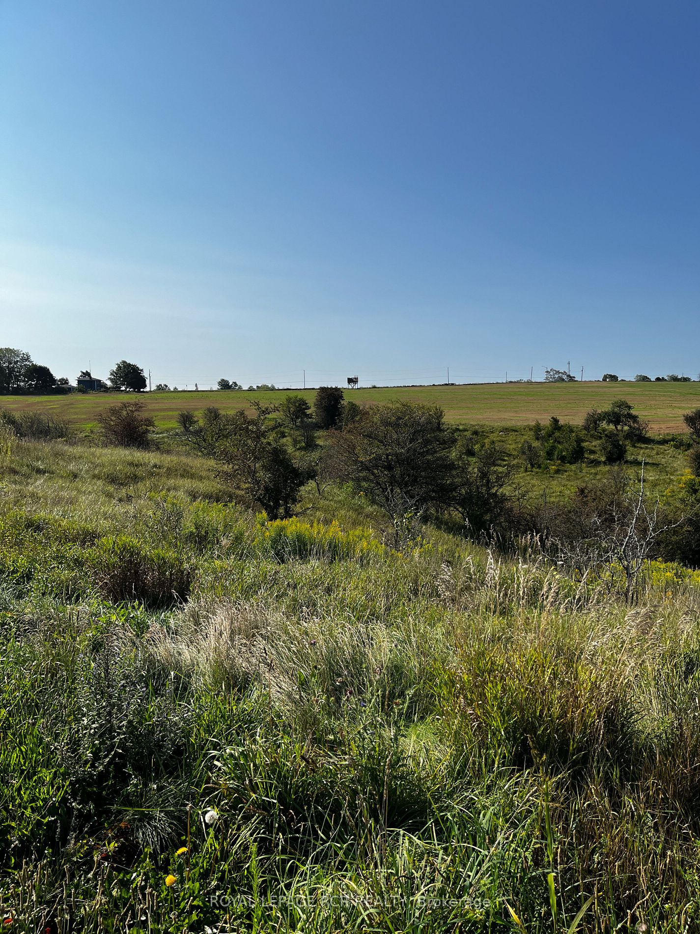 5060 8th Line Property Photo 10