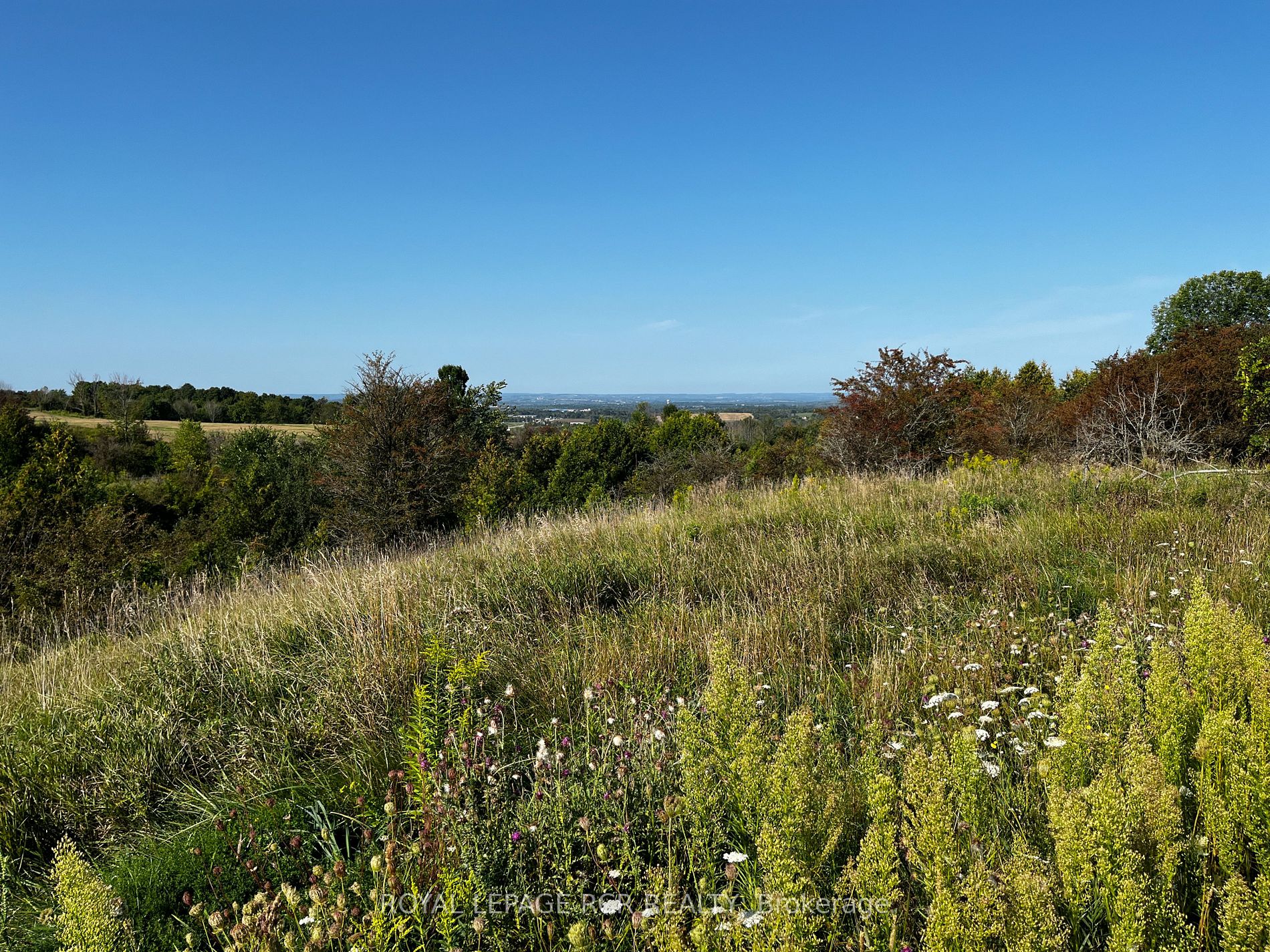 5060 8th Line Property Photo 11
