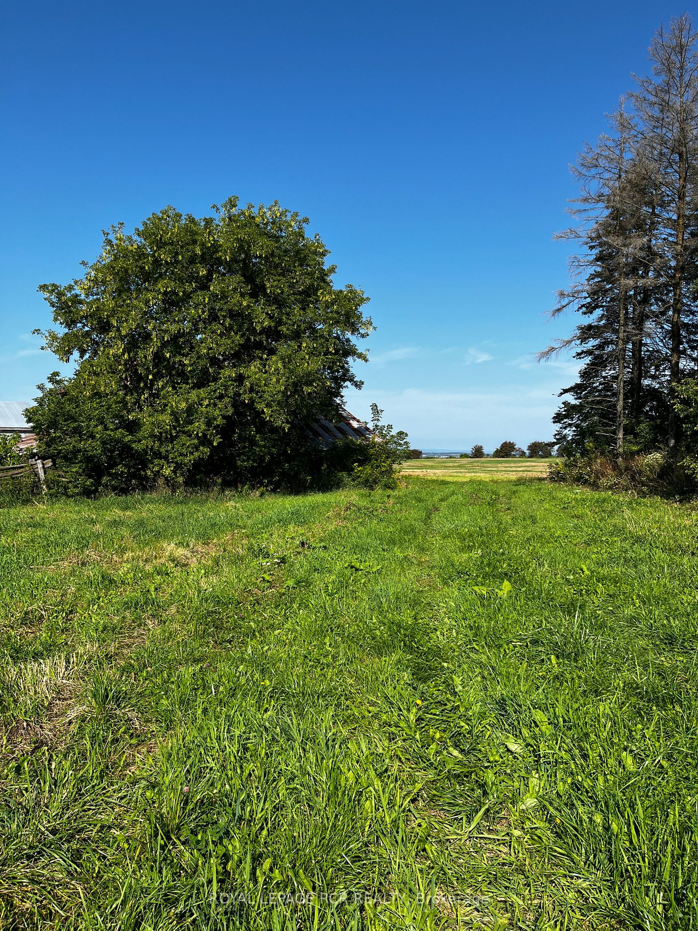5060 8th Line Property Photo 15