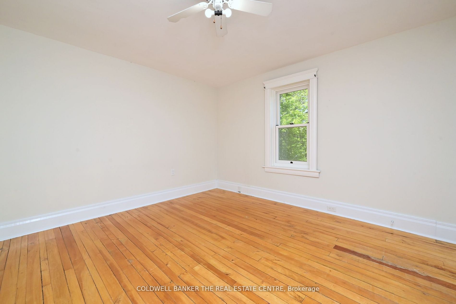 7 George St Property Photo 3