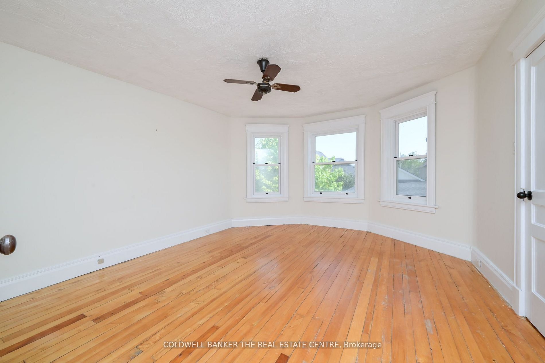 7 George St Property Photo 16