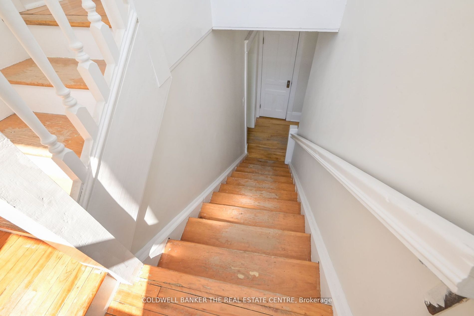 7 George St Property Photo 18