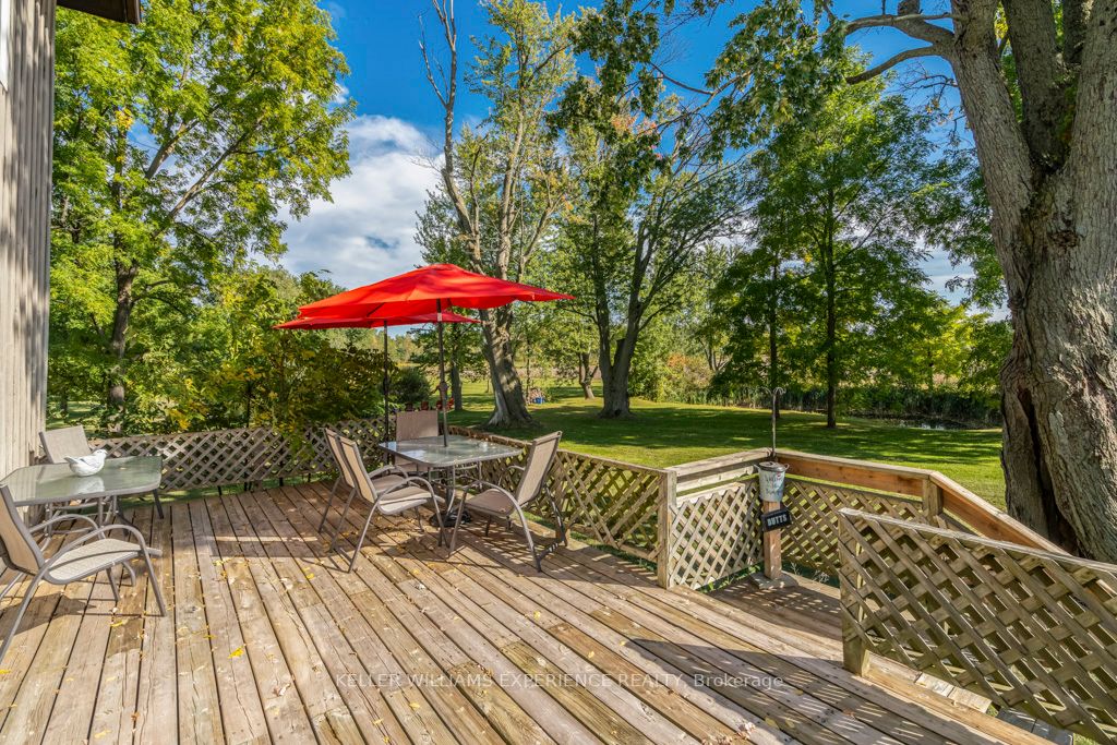 7884 County Rd 13 Property Photo 25