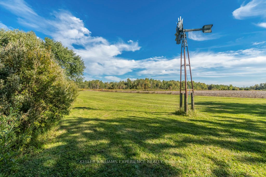 7884 County Rd 13 Property Photo 34