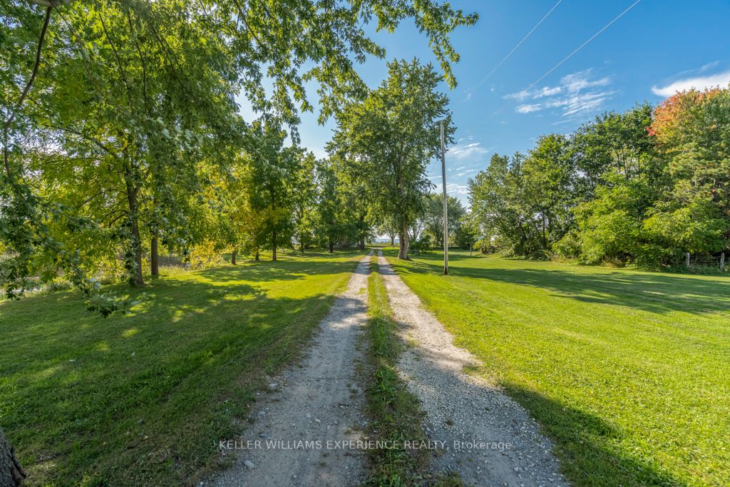 7884 County Rd 13 Property Photo 40