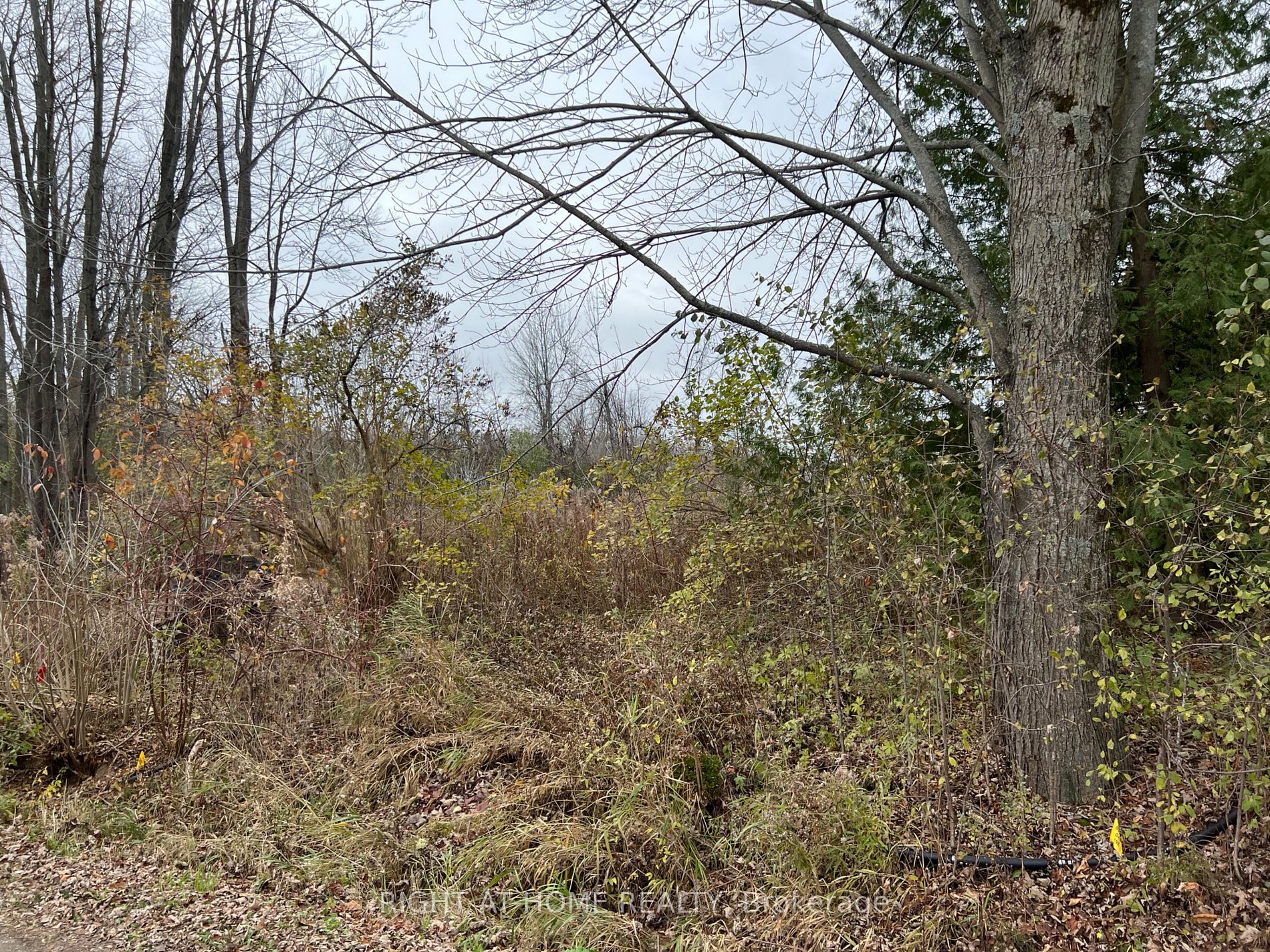476 Duclos Point Rd Property Photo 2