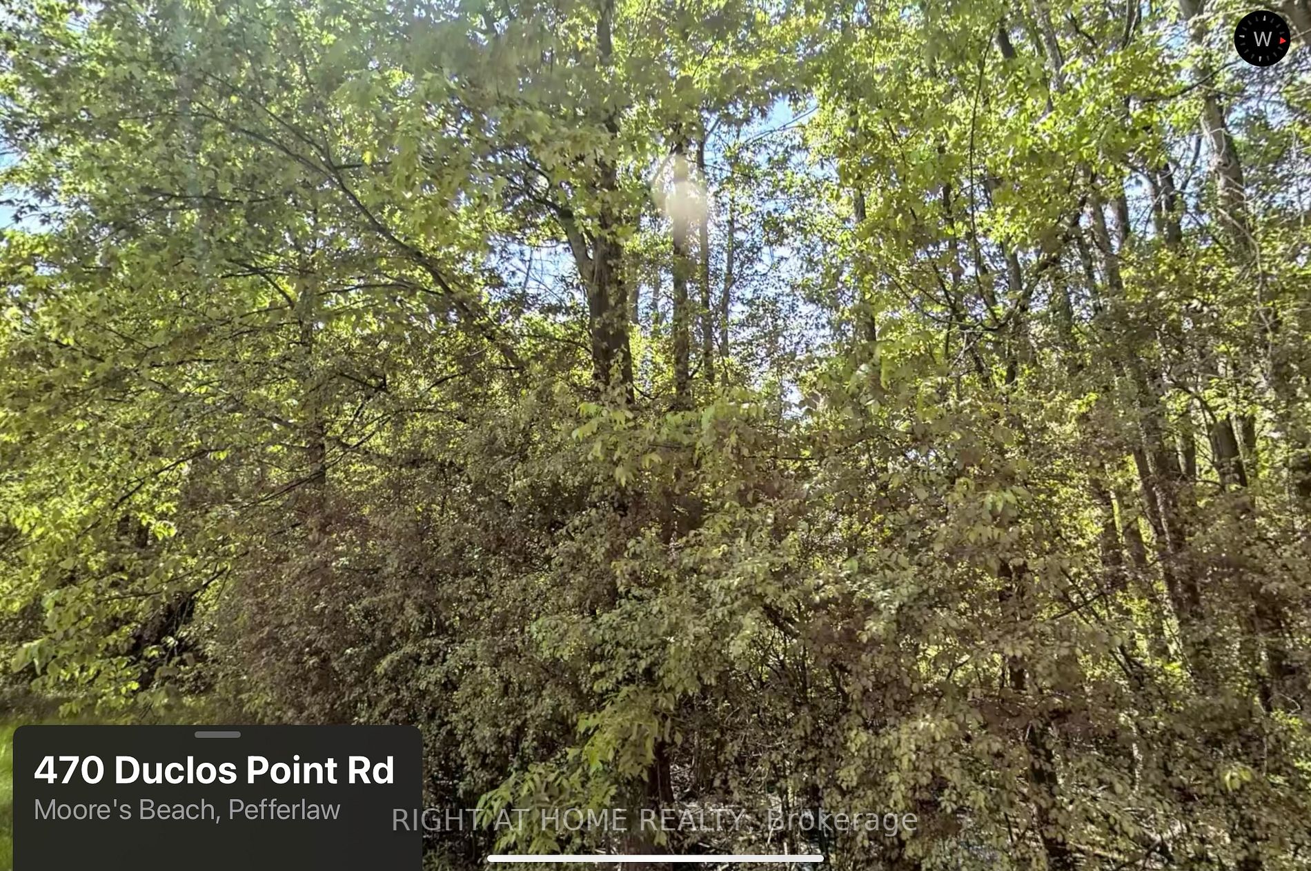 476 Duclos Point Rd Property Photo 4