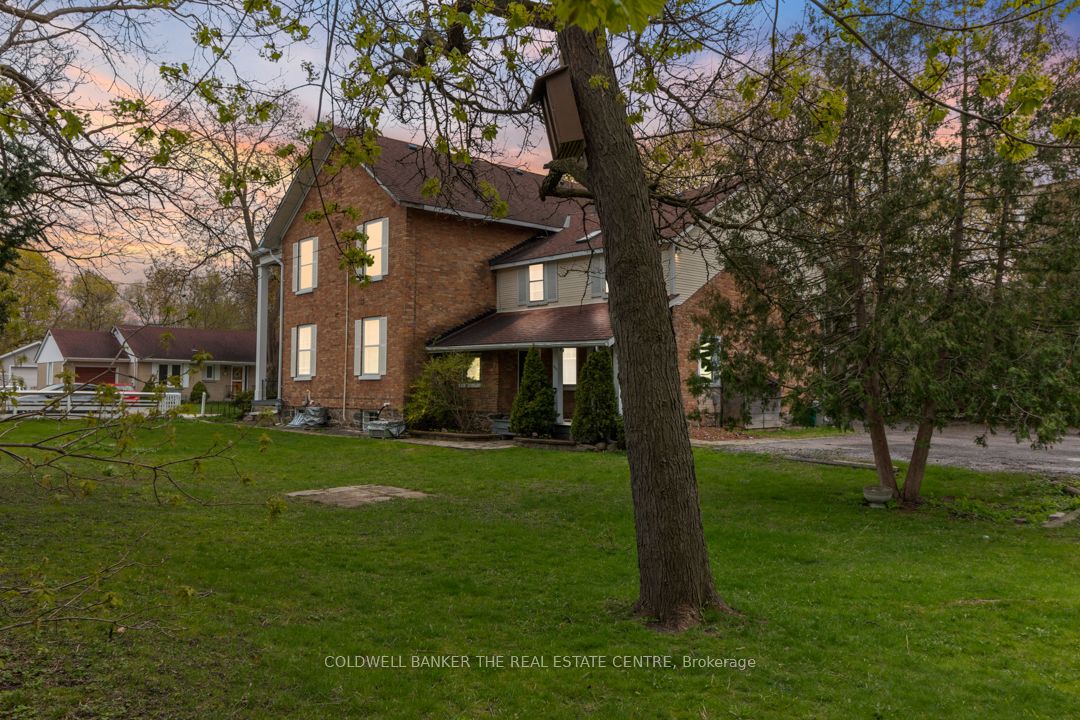 457 D'arcy St Property Photo 2