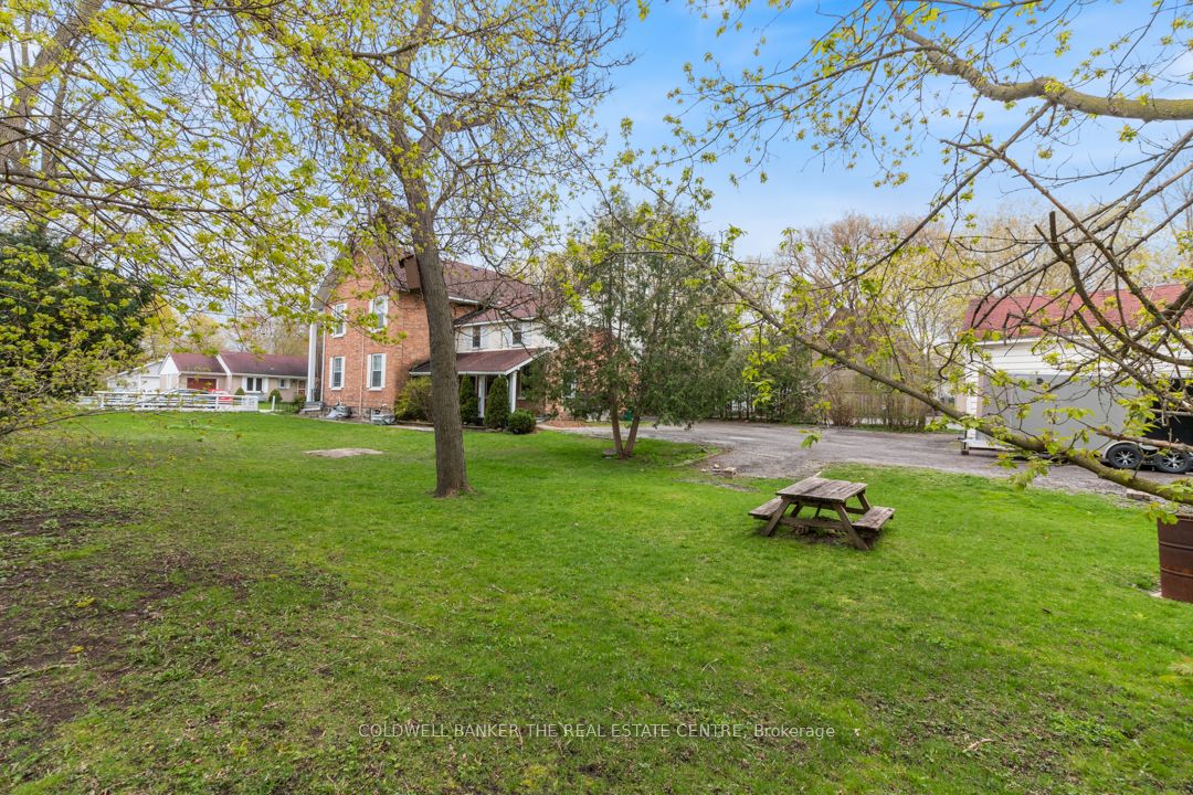 457 D'arcy St Property Photo 32
