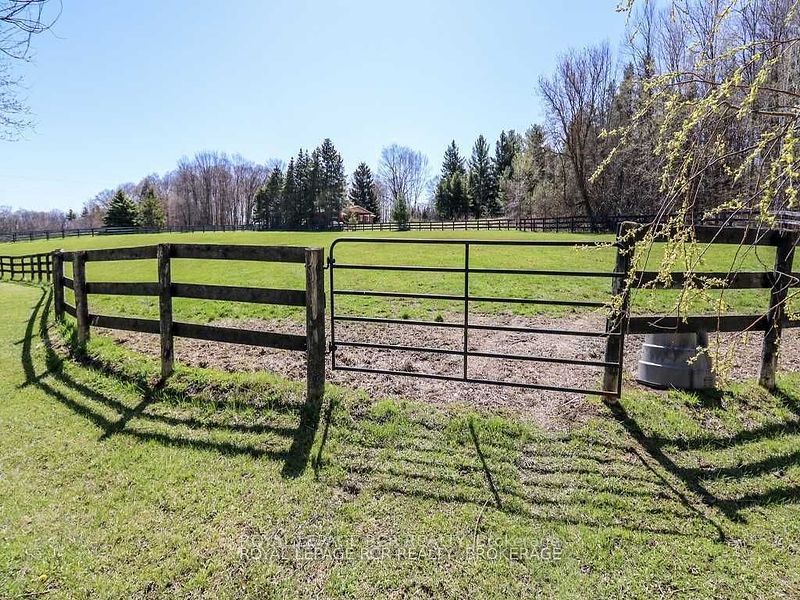 1148 10th Sideroad Property Photo 13