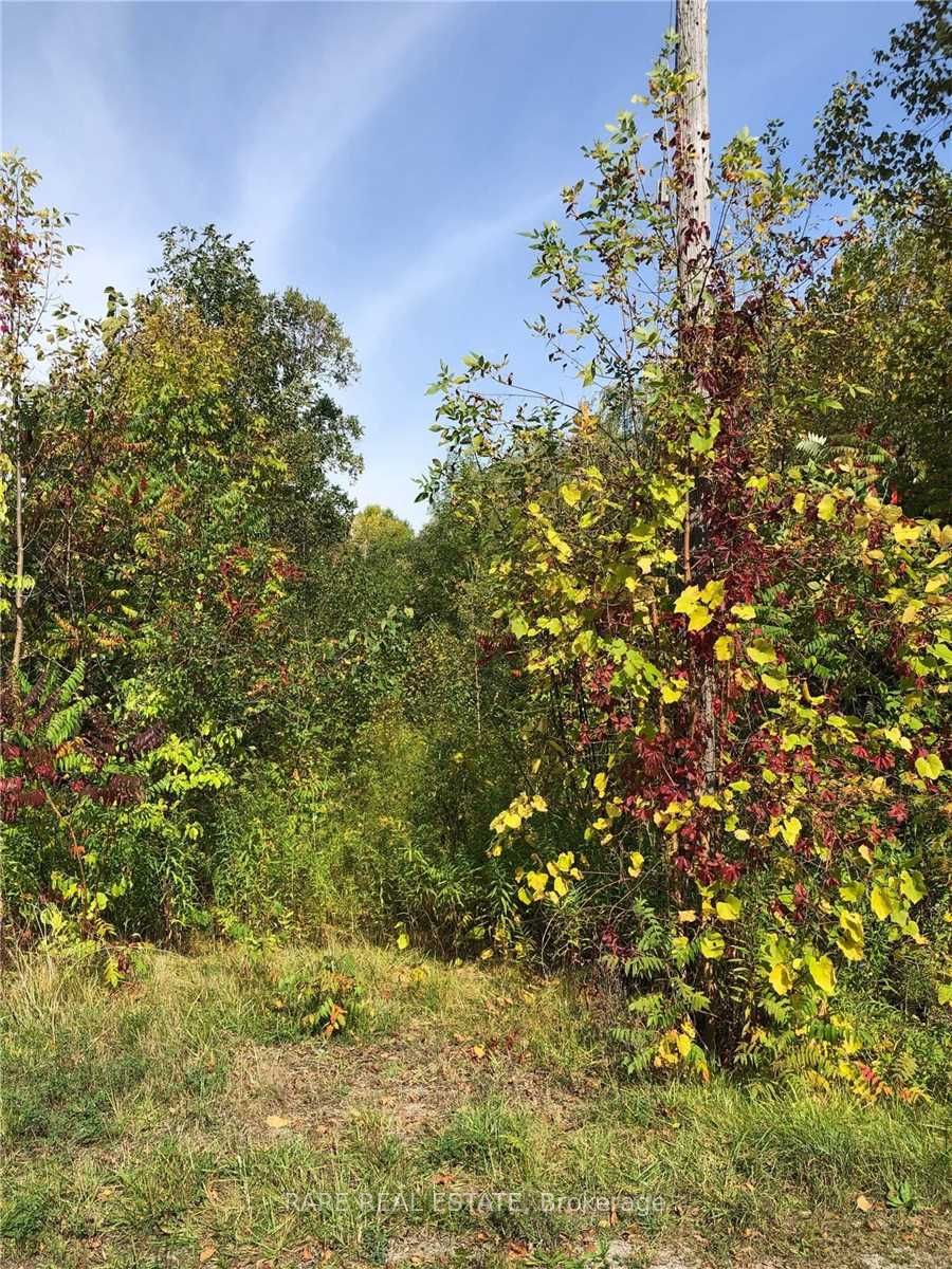Lot 168 Dorothy Ave Property Photo 5