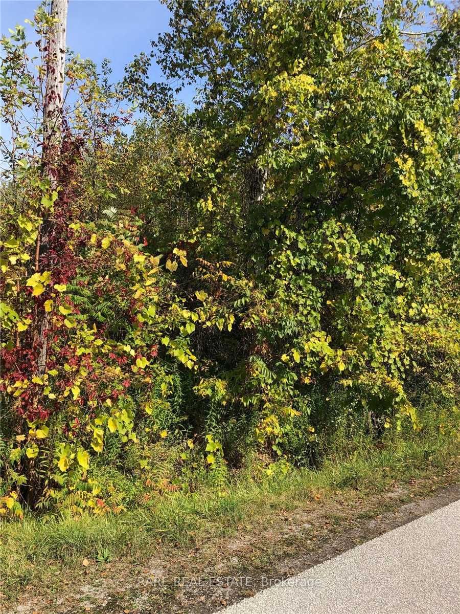 Lot 168 Dorothy Ave Property Photo 6