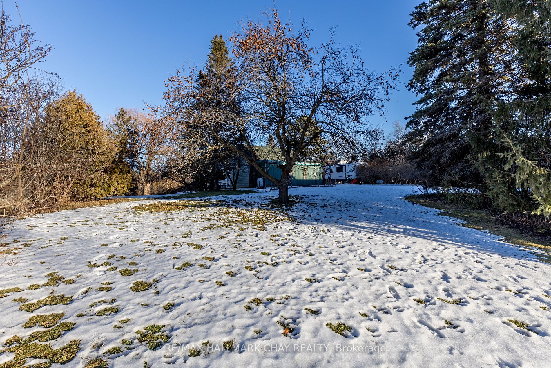 12450 Keele St Property Photo 16