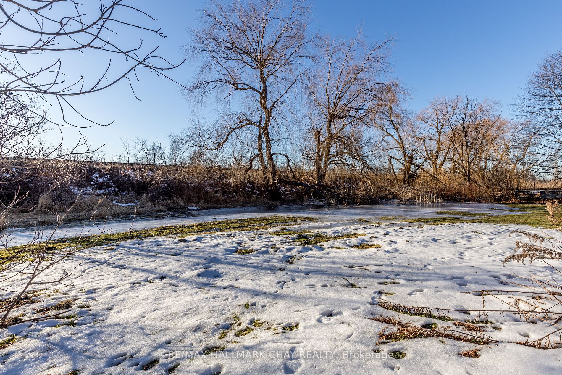 12450 Keele St Property Photo 17