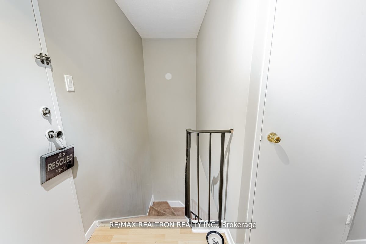 16b Elgin St 46 Property Photo 15