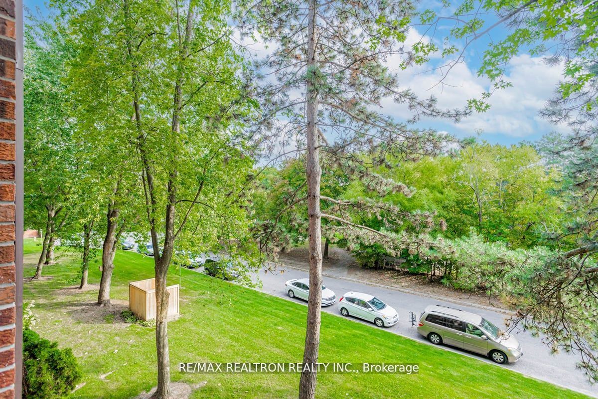 16b Elgin St 46 Property Photo 26