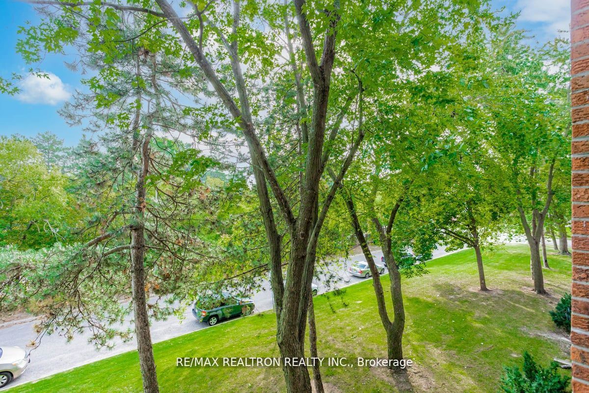 16b Elgin St 46 Property Photo 27