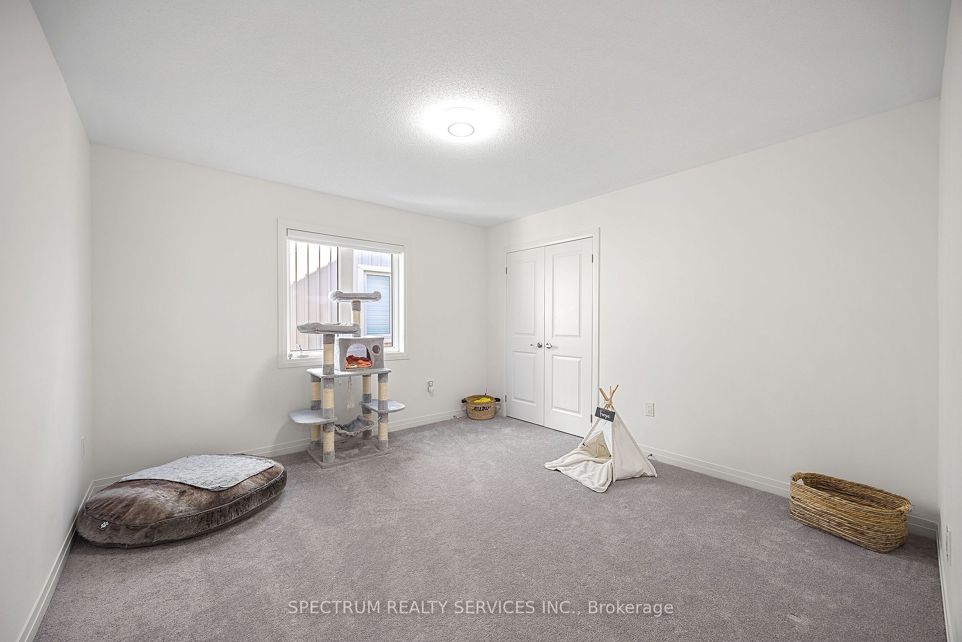 52 Pridham Pl Property Photo 26