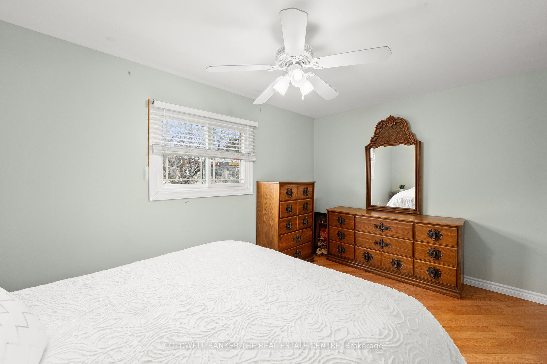 533 The Queensway S Property Photo 15