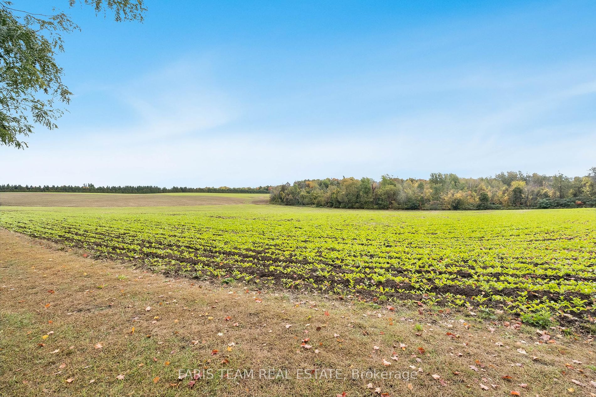 2349 11 Line Property Photo 35