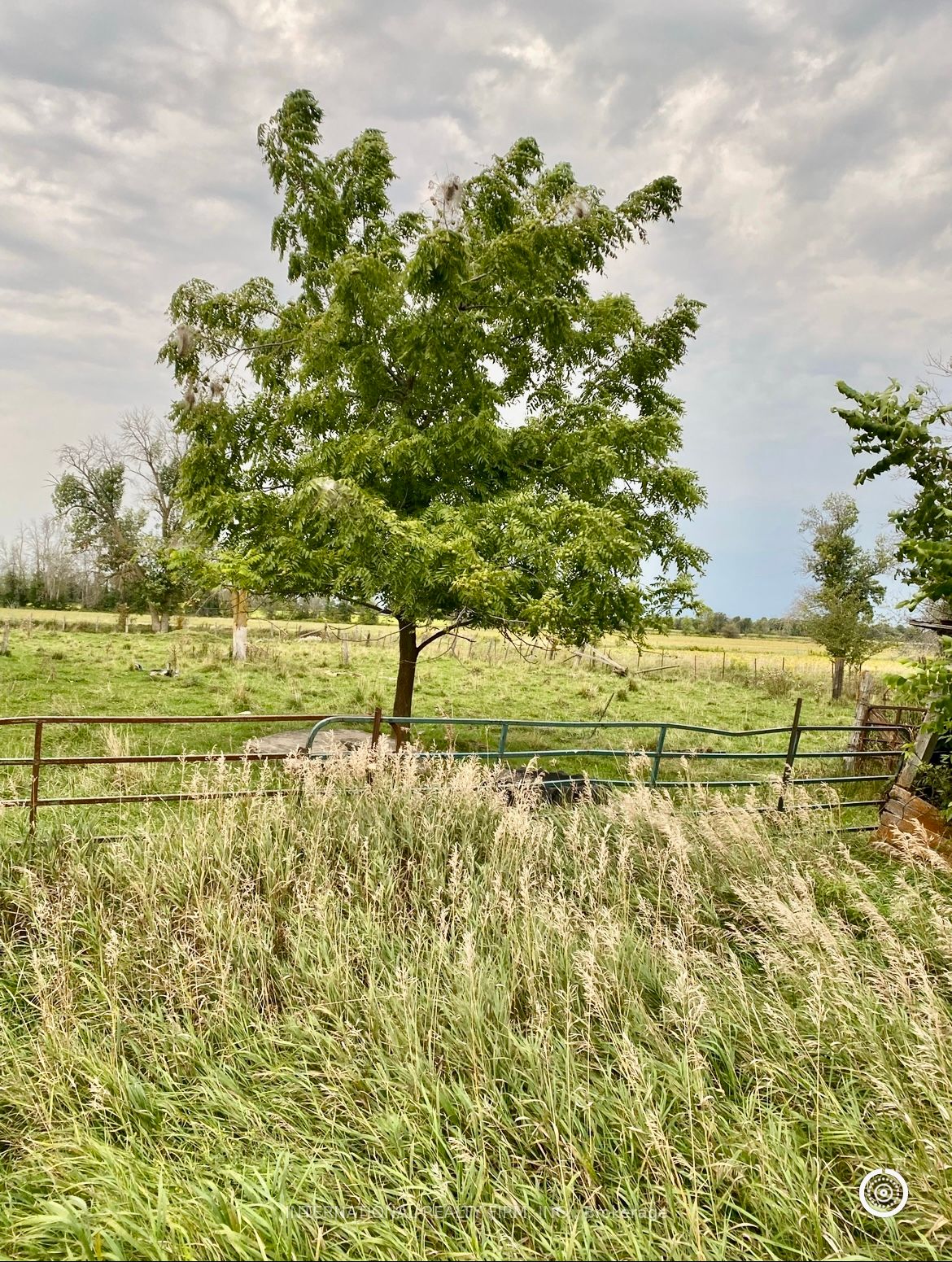 5944 10th Line Property Photo 12