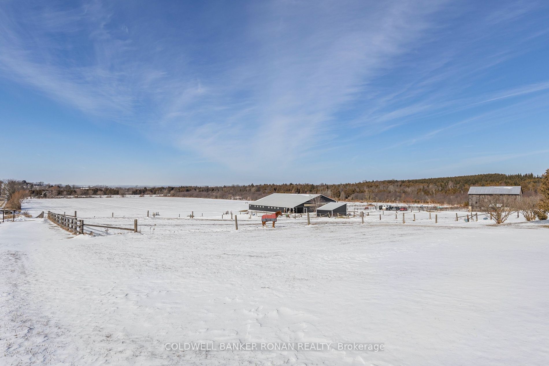 4628 Line 10 Property Photo 29