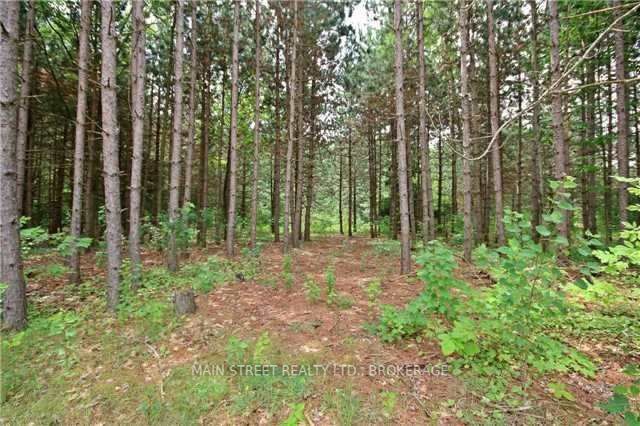 2947 12th Line Property Photo 8