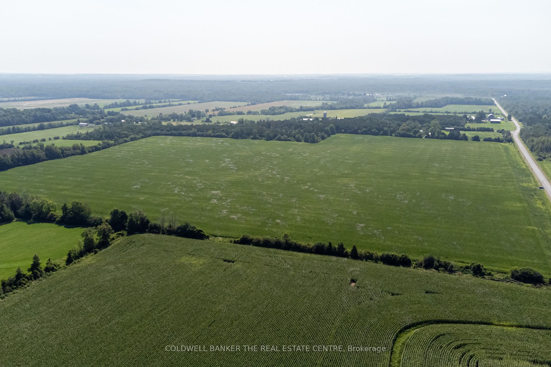 8270 Morning Glory Rd Property Photo 12