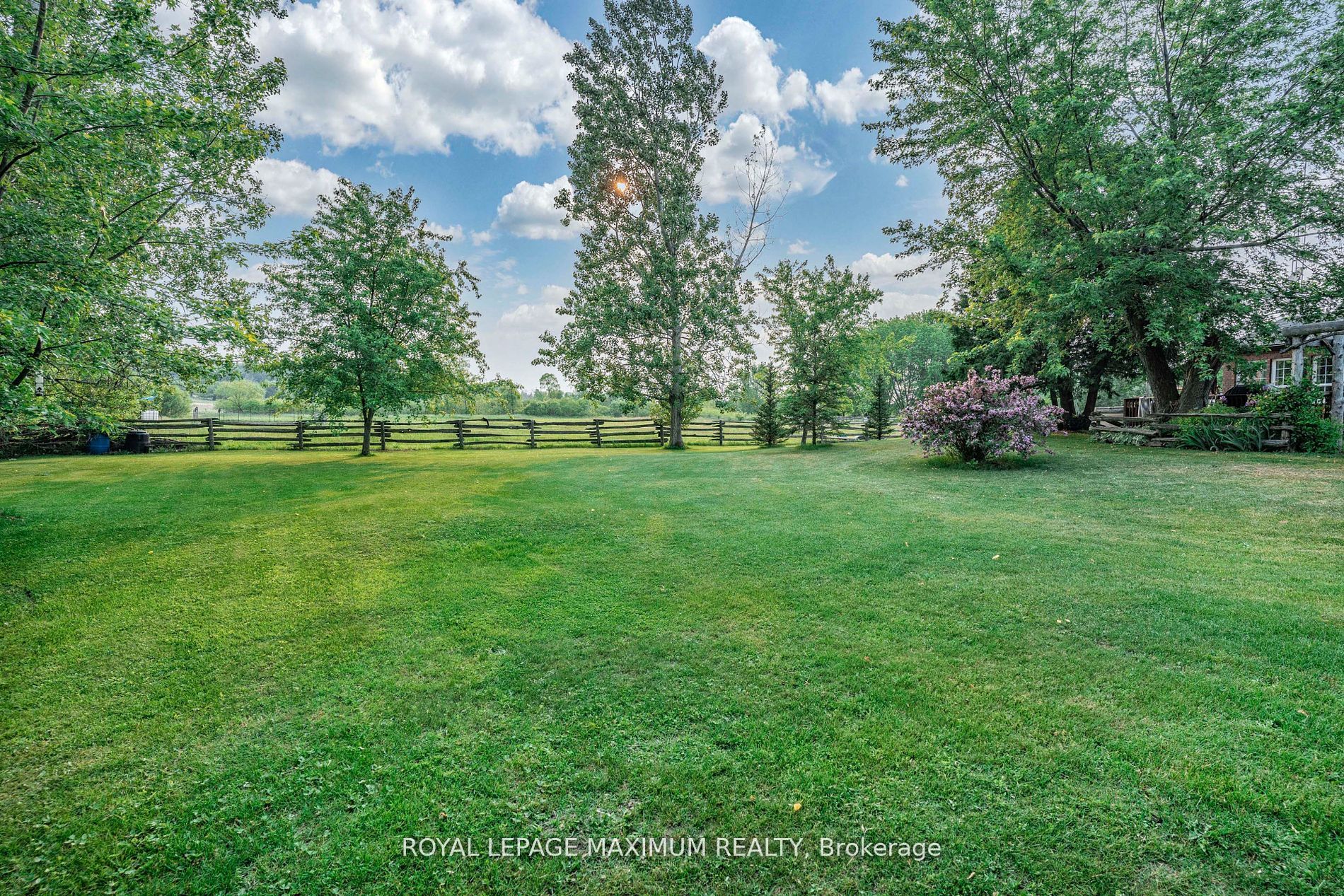 4372 Train St Property Photo 6