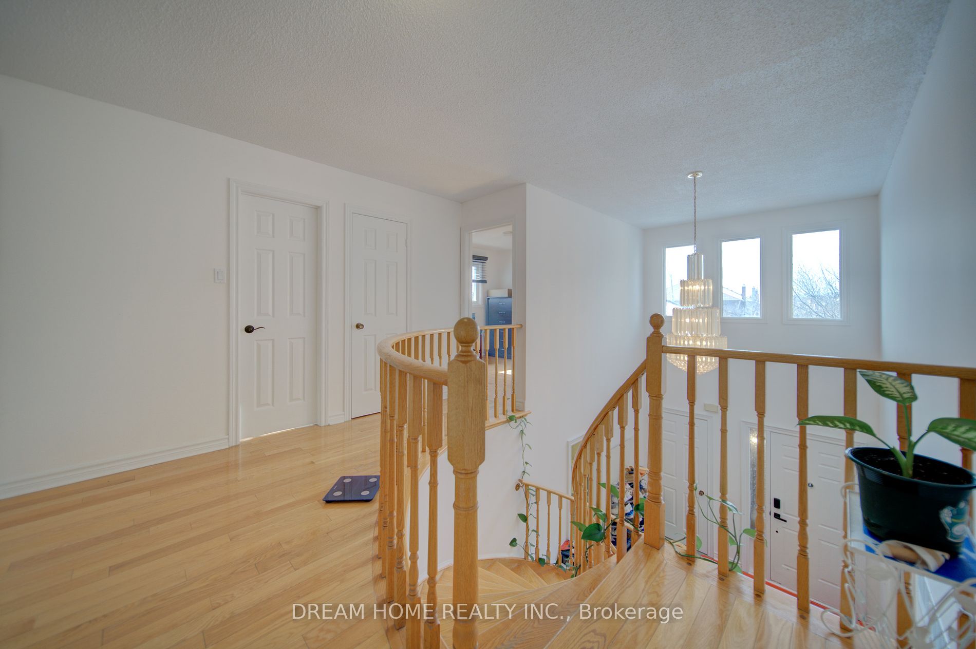 17 Caldbeck Ave Property Photo 8