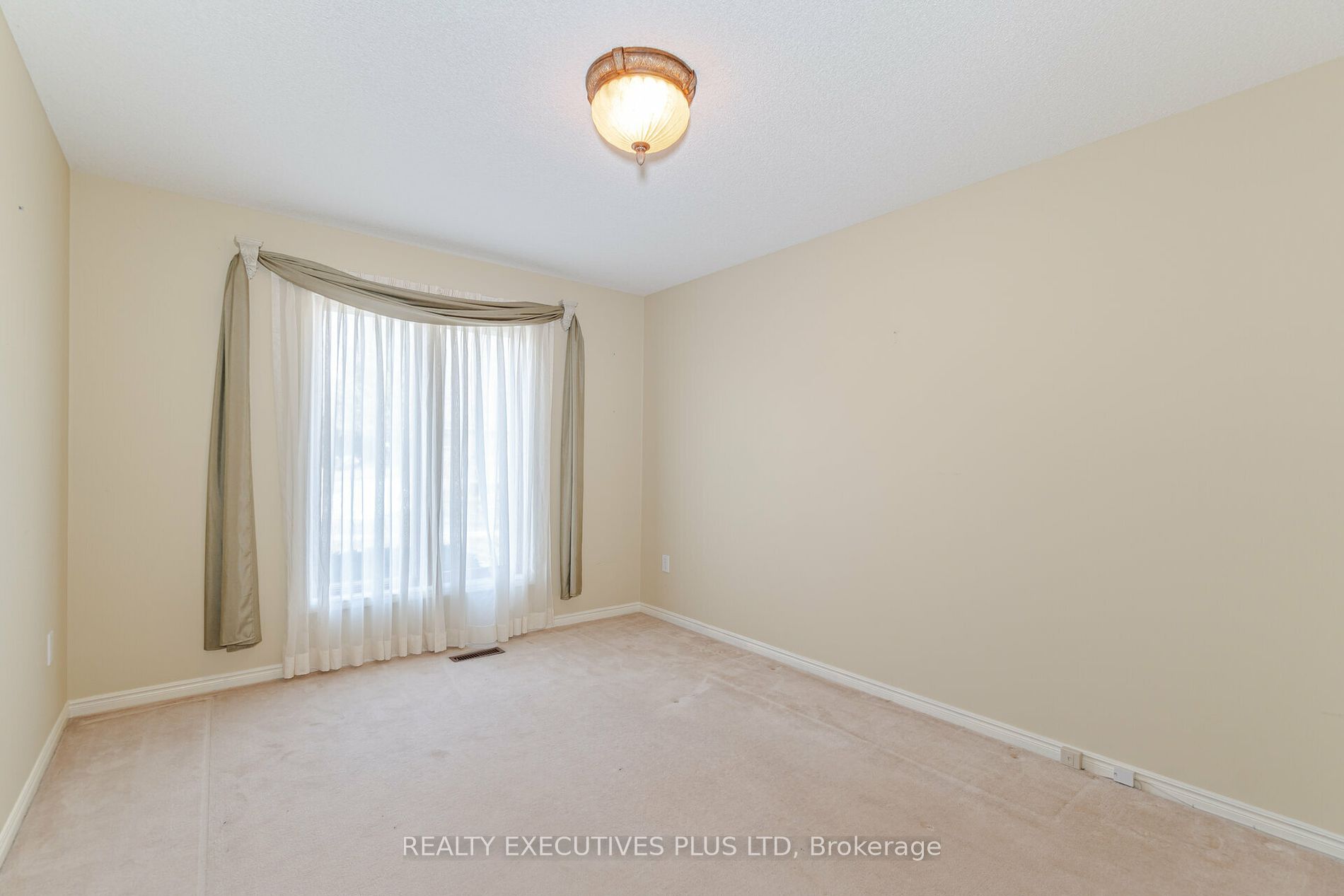 9 Pine Tree Crt Property Photo 6