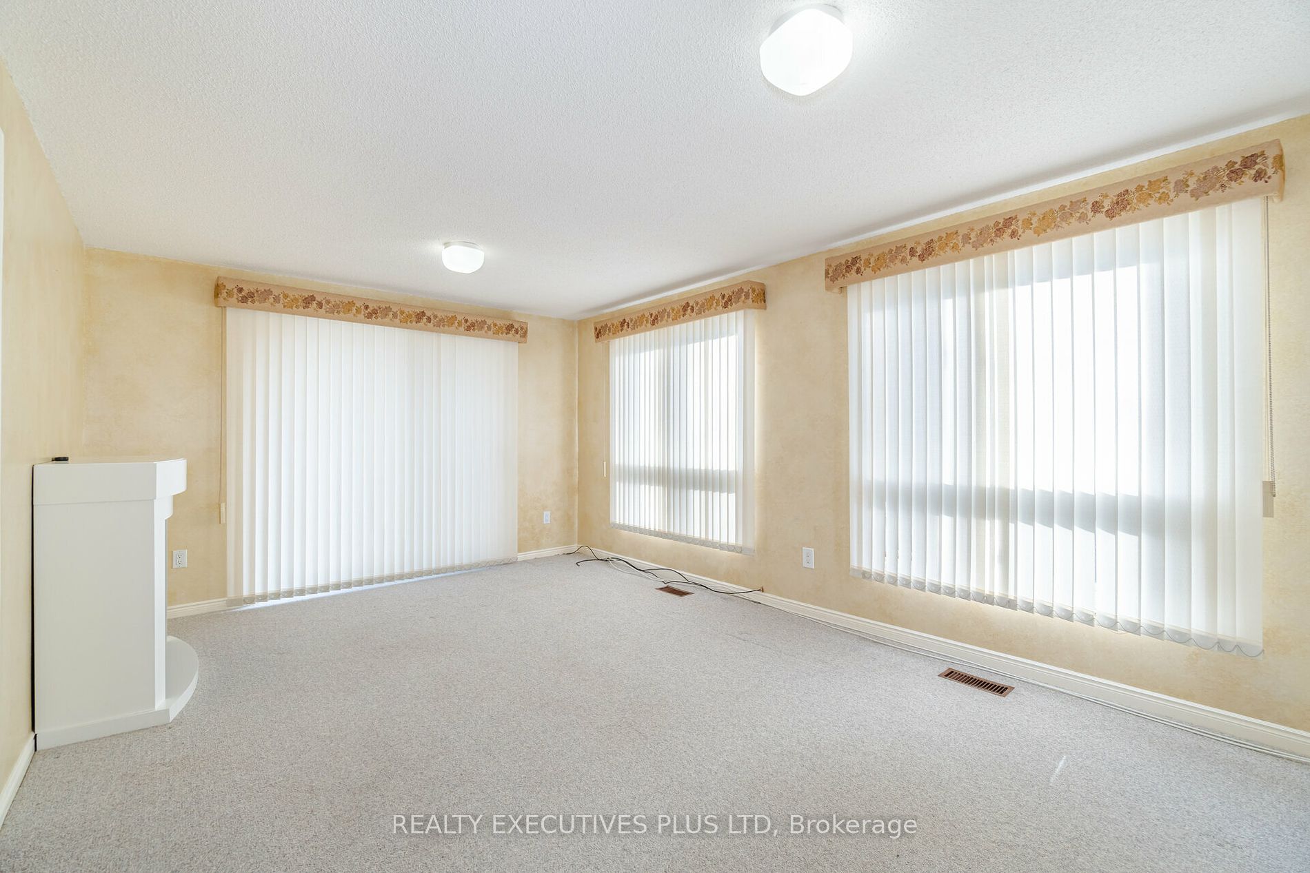 9 Pine Tree Crt Property Photo 15